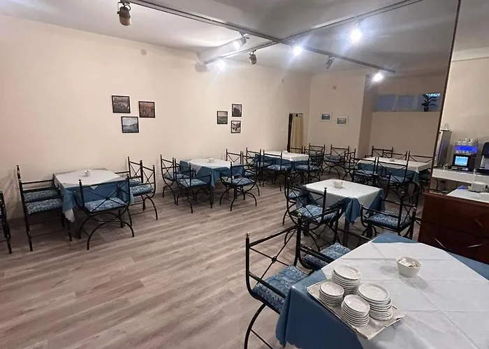 酒店 贝尔维尤酒店